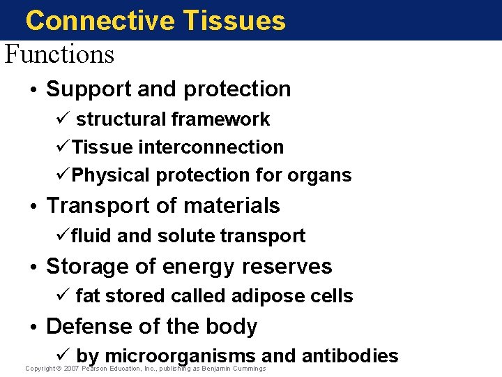 Connective Tissues Functions • Support and protection ü structural framework üTissue interconnection üPhysical protection