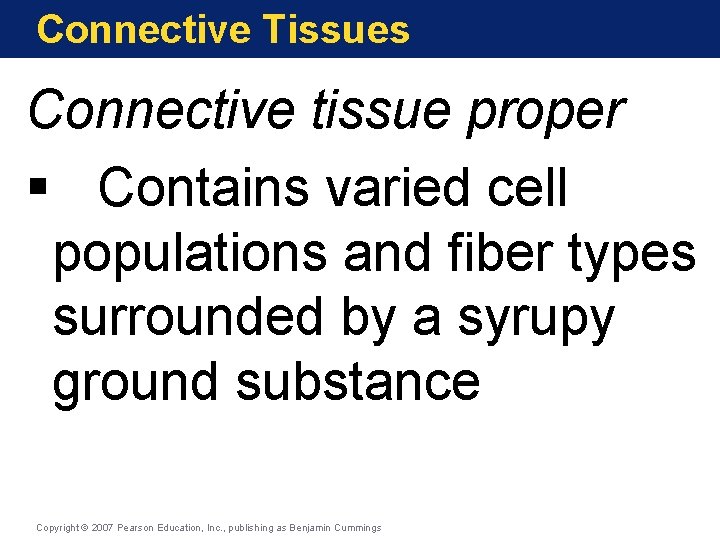 Connective Tissues Connective tissue proper § Contains varied cell populations and fiber types surrounded