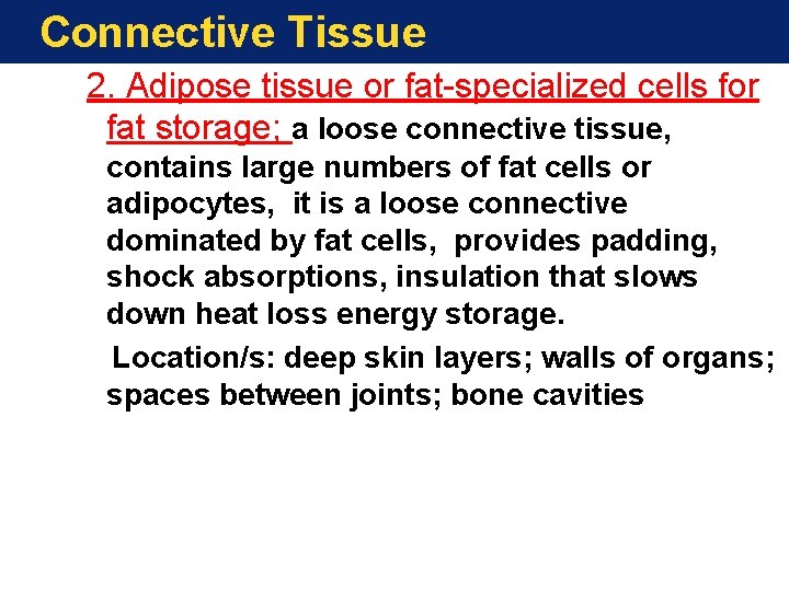 Connective Tissue 2. Adipose tissue or fat-specialized cells for fat storage; a loose connective