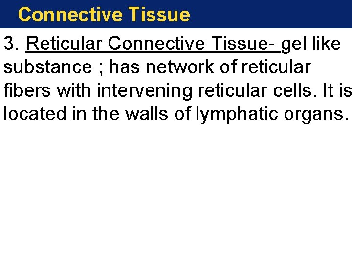 Connective Tissue 3. Reticular Connective Tissue- gel like substance ; has network of reticular