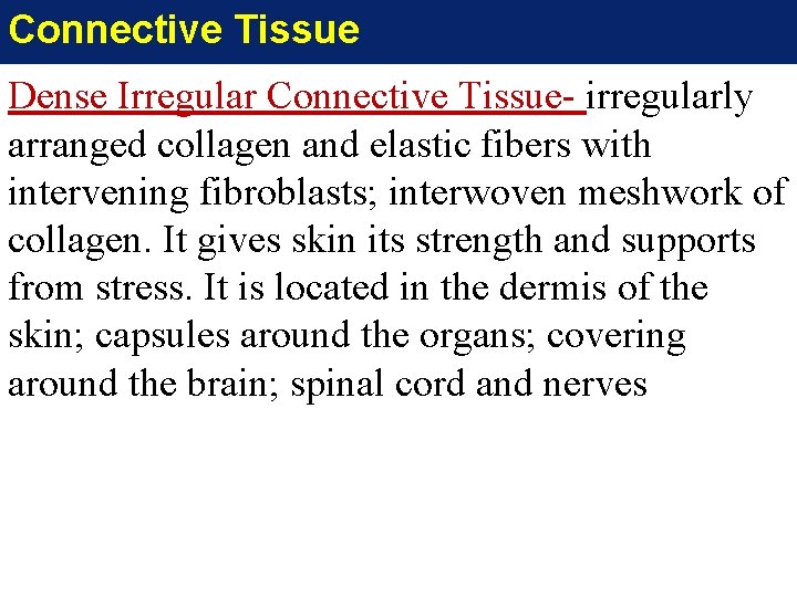 Connective Tissue Dense Irregular Connective Tissue- irregularly arranged collagen and elastic fibers with intervening