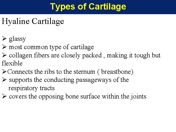 Types of Cartilage Hyaline Cartilage Ø glassy Ø most common type of cartilage Ø