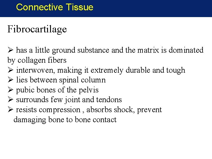 Connective Tissue Fibrocartilage Ø has a little ground substance and the matrix is dominated