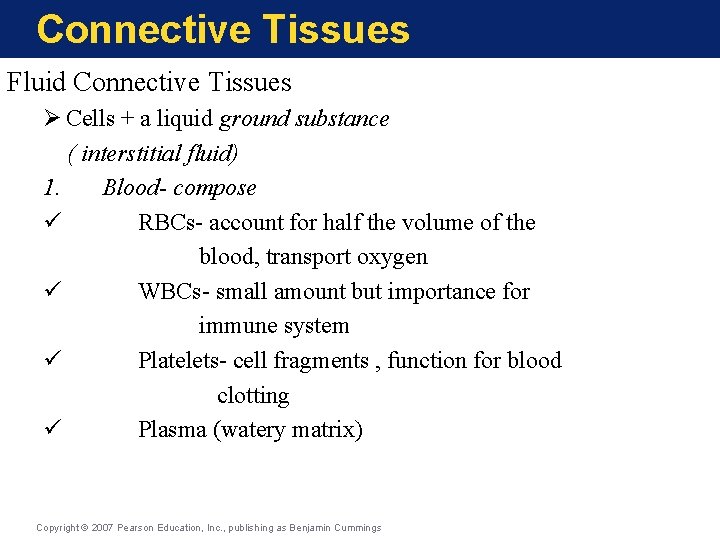 Connective Tissues Fluid Connective Tissues Ø Cells + a liquid ground substance ( interstitial
