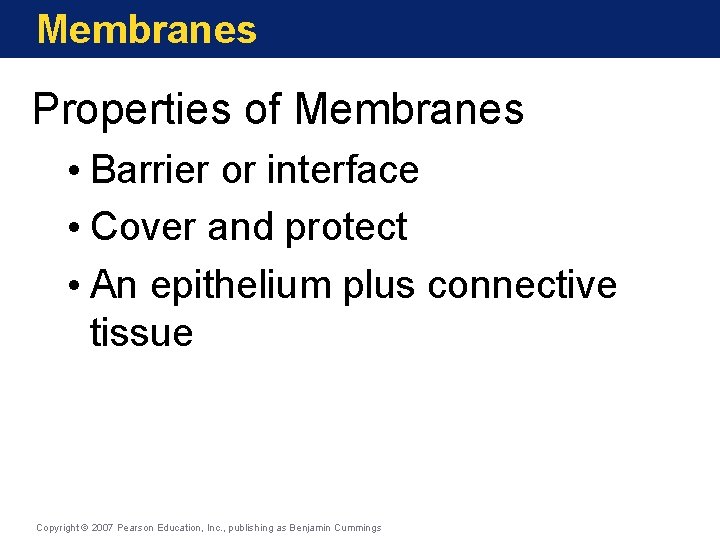 Membranes Properties of Membranes • Barrier or interface • Cover and protect • An