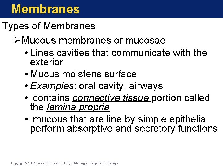 Membranes Types of Membranes ØMucous membranes or mucosae • Lines cavities that communicate with