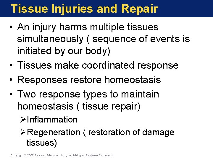 Tissue Injuries and Repair • An injury harms multiple tissues simultaneously ( sequence of