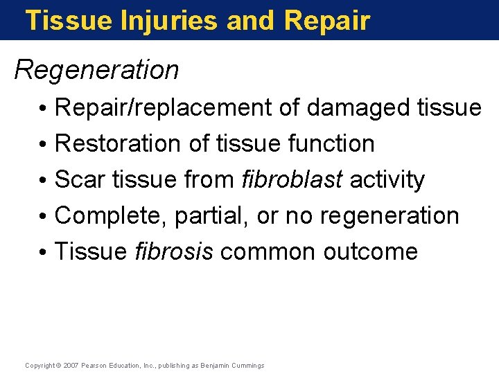 Tissue Injuries and Repair Regeneration • Repair/replacement of damaged tissue • Restoration of tissue