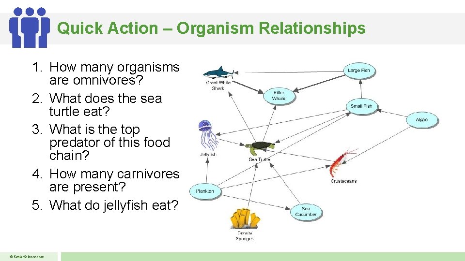 Quick Action – Organism Relationships 1. How many organisms are omnivores? 2. What does
