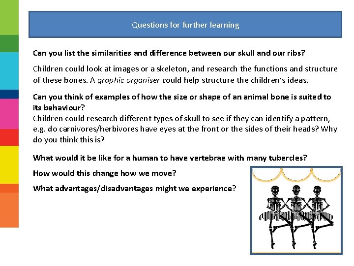 Questions for further learning Can you list the similarities and difference between our skull