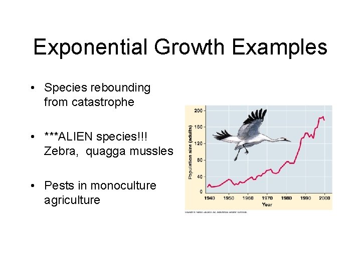Exponential Growth Examples • Species rebounding from catastrophe • ***ALIEN species!!! Zebra, quagga mussles