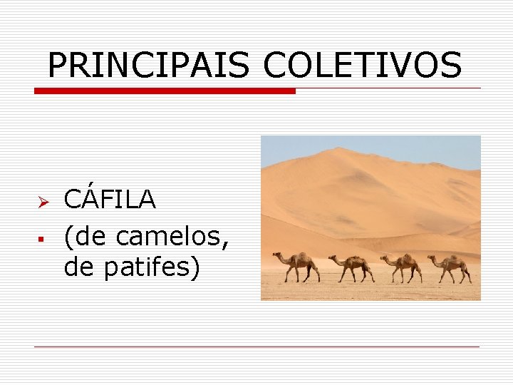 PRINCIPAIS COLETIVOS Ø § CÁFILA (de camelos, de patifes) 