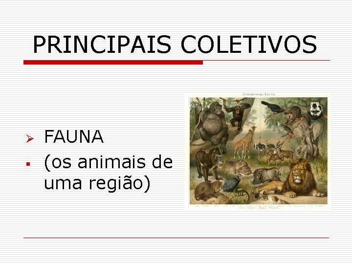 PRINCIPAIS COLETIVOS Ø § FAUNA (os animais de uma região) 