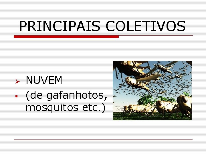 PRINCIPAIS COLETIVOS Ø § NUVEM (de gafanhotos, mosquitos etc. ) 