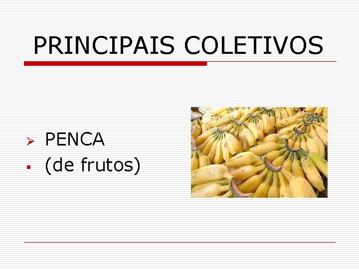 PRINCIPAIS COLETIVOS Ø § PENCA (de frutos) 