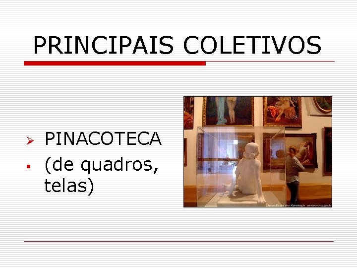 PRINCIPAIS COLETIVOS Ø § PINACOTECA (de quadros, telas) 
