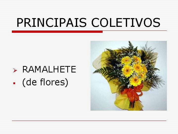 PRINCIPAIS COLETIVOS Ø § RAMALHETE (de flores) 