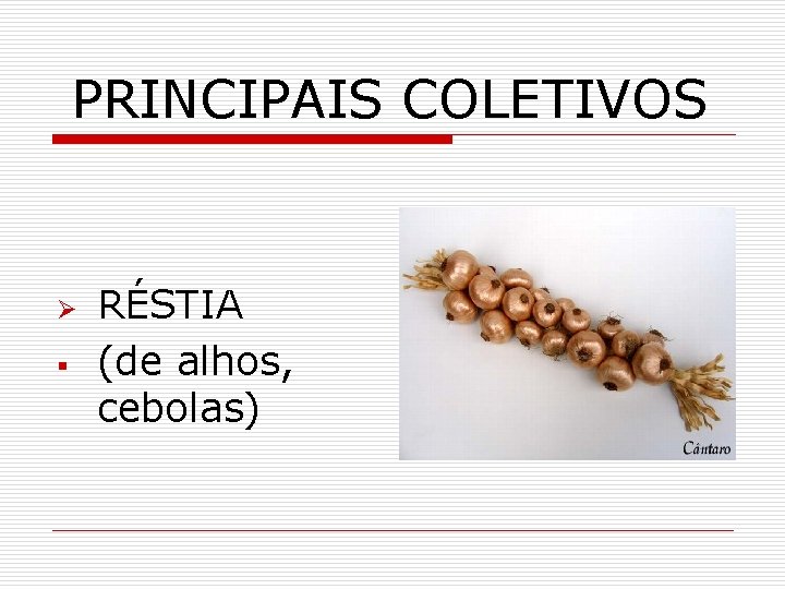 PRINCIPAIS COLETIVOS Ø § RÉSTIA (de alhos, cebolas) 