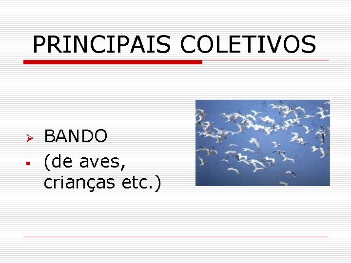 PRINCIPAIS COLETIVOS Ø § BANDO (de aves, crianças etc. ) 