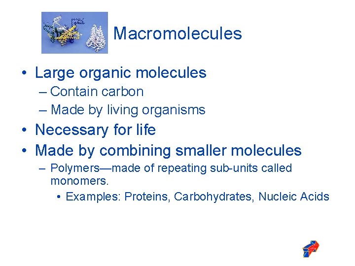 Macromolecules • Large organic molecules – Contain carbon – Made by living organisms •