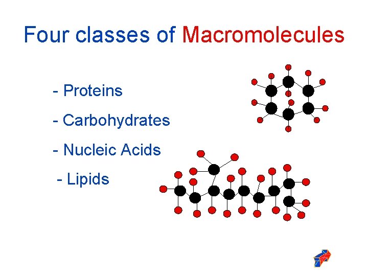 Four classes of Macromolecules - Proteins - Carbohydrates - Nucleic Acids - Lipids 