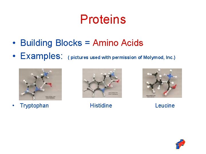 Proteins • Building Blocks = Amino Acids • Examples: ( pictures used with permission