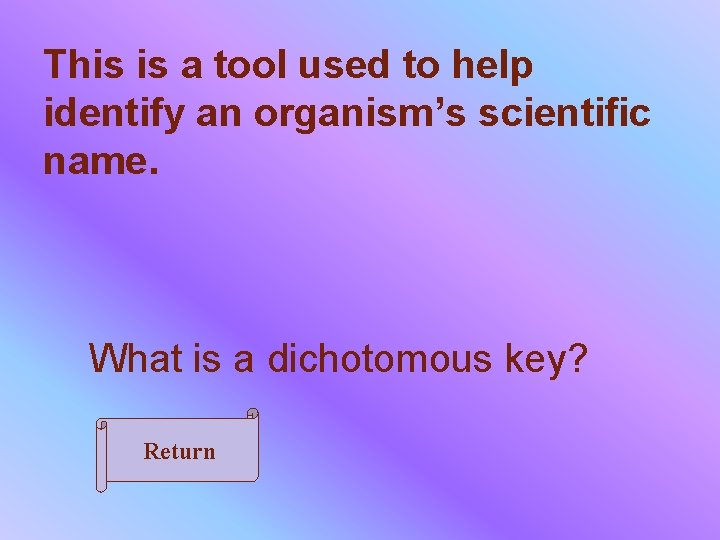 This is a tool used to help identify an organism’s scientific name. What is