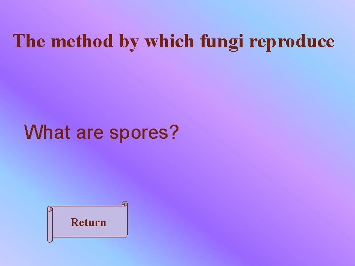The method by which fungi reproduce What are spores? Return 