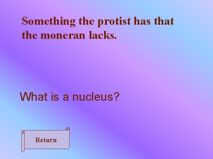 Something the protist has that the moneran lacks. What is a nucleus? Return 
