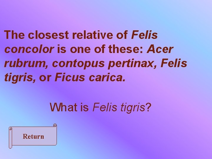 The closest relative of Felis concolor is one of these: Acer rubrum, contopus pertinax,