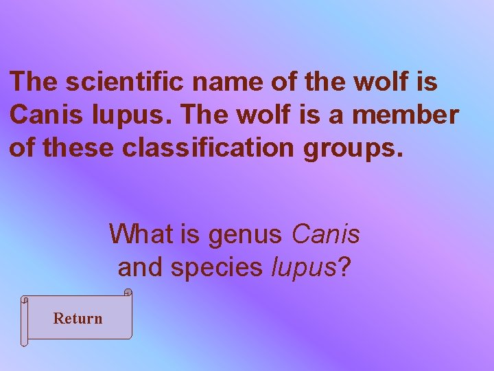 The scientific name of the wolf is Canis lupus. The wolf is a member