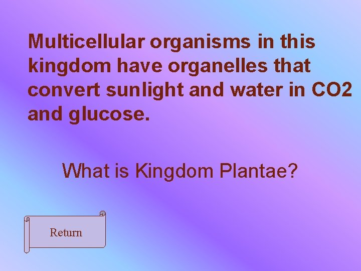 Multicellular organisms in this kingdom have organelles that convert sunlight and water in CO