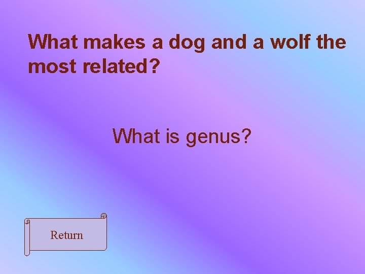 What makes a dog and a wolf the most related? What is genus? Return