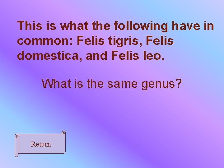 This is what the following have in common: Felis tigris, Felis domestica, and Felis