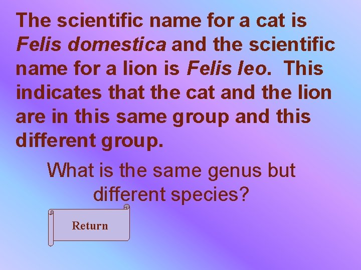 The scientific name for a cat is Felis domestica and the scientific name for