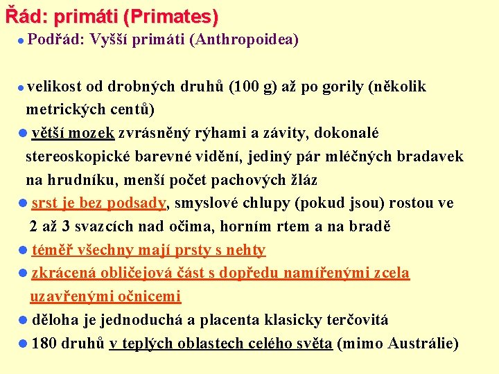 Řád: primáti (Primates) Podřád: Vyšší primáti (Anthropoidea) velikost od drobných druhů (100 g) až