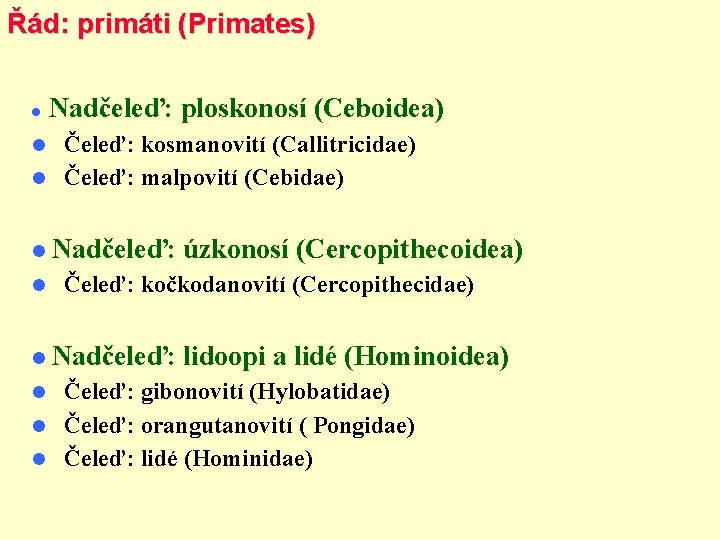 Řád: primáti (Primates) Nadčeleď: ploskonosí (Ceboidea) Čeleď: kosmanovití (Callitricidae) Čeleď: malpovití (Cebidae) Nadčeleď: úzkonosí