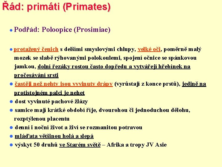 Řád: primáti (Primates) Podřád: Poloopice (Prosimiae) protažený čenich s delšími smyslovými chlupy, velké oči,