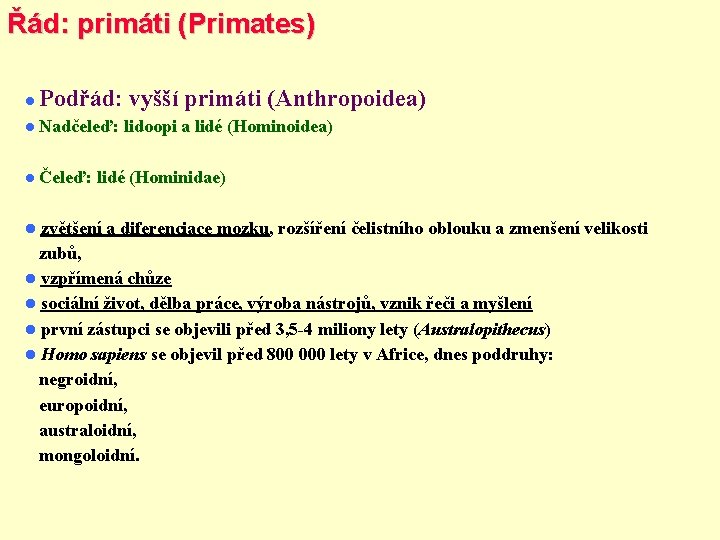 Řád: primáti (Primates) Podřád: vyšší primáti (Anthropoidea) Nadčeleď: Čeleď: lidoopi a lidé (Hominoidea) lidé