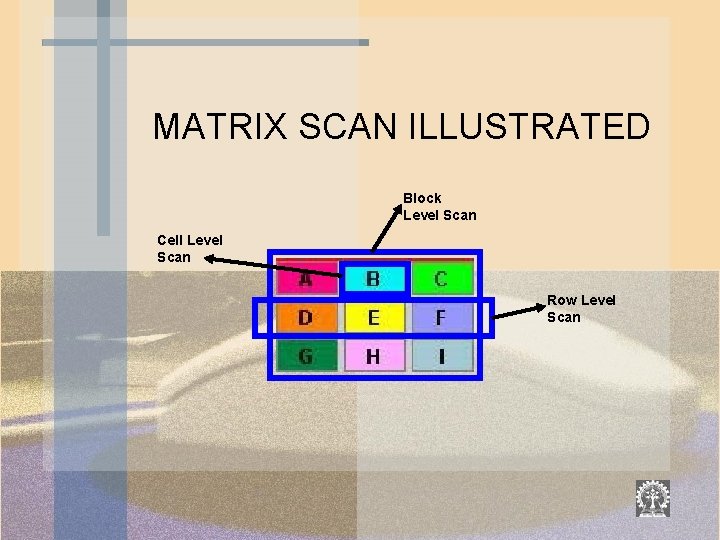 MATRIX SCAN ILLUSTRATED Block Level Scan Cell Level Scan Row Level Scan 