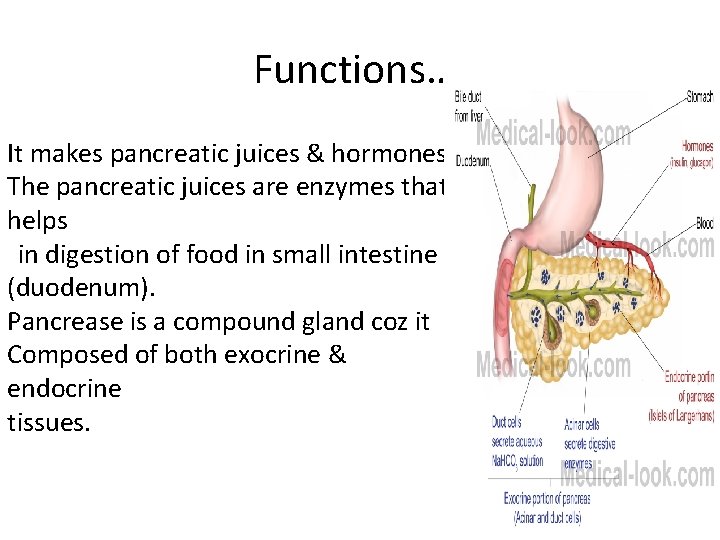 Functions…. It makes pancreatic juices & hormones. The pancreatic juices are enzymes that helps