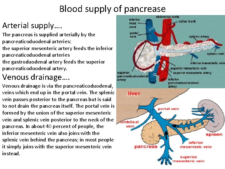 Blood supply of pancrease Arterial supply…. The pancreas is supplied arterially by the pancreaticoduodenal