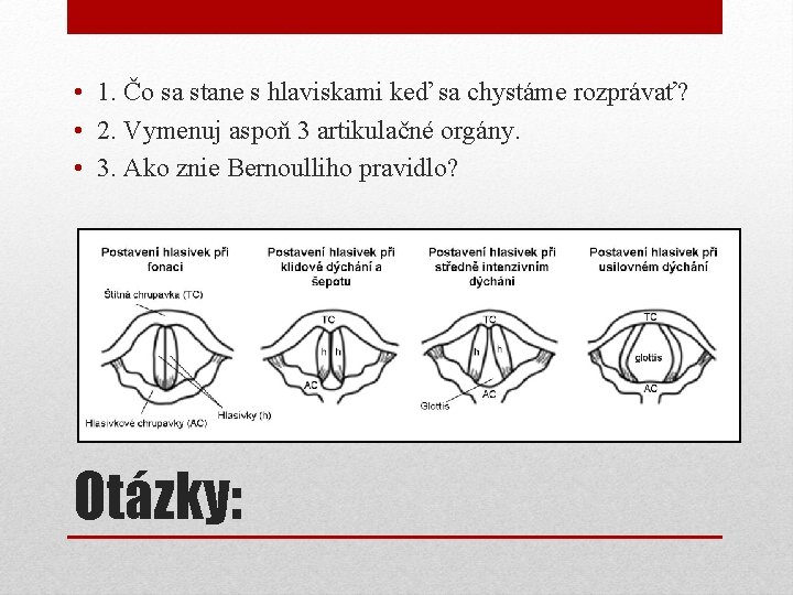  • 1. Čo sa stane s hlaviskami keď sa chystáme rozprávať? • 2.