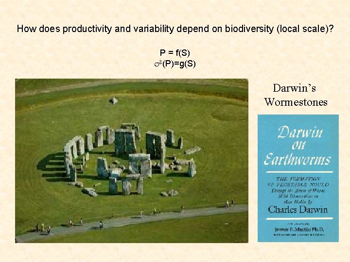 How does productivity and variability depend on biodiversity (local scale)? P = f(S) s
