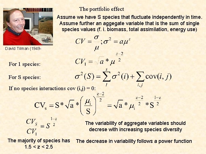 The portfolio effect Assume we have S species that fluctuate independently in time. Assume