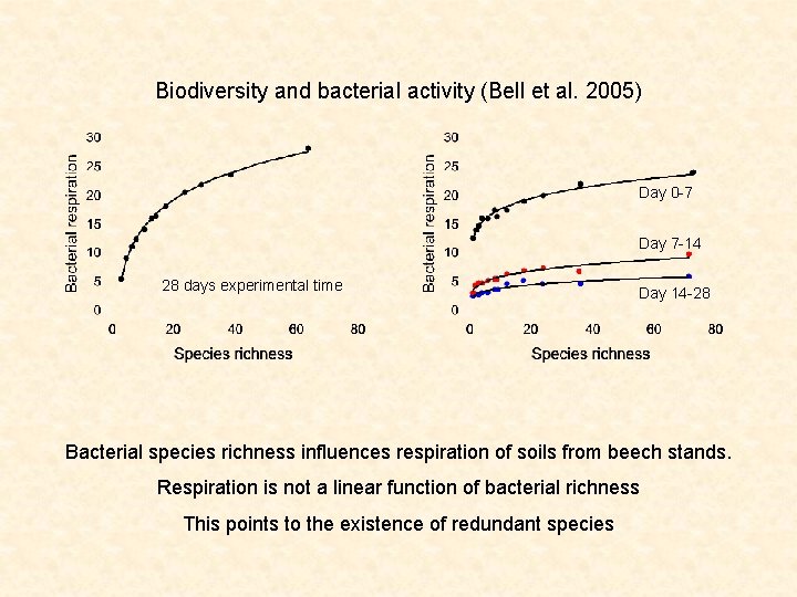 Biodiversity and bacterial activity (Bell et al. 2005) Day 0 -7 Day 7 -14