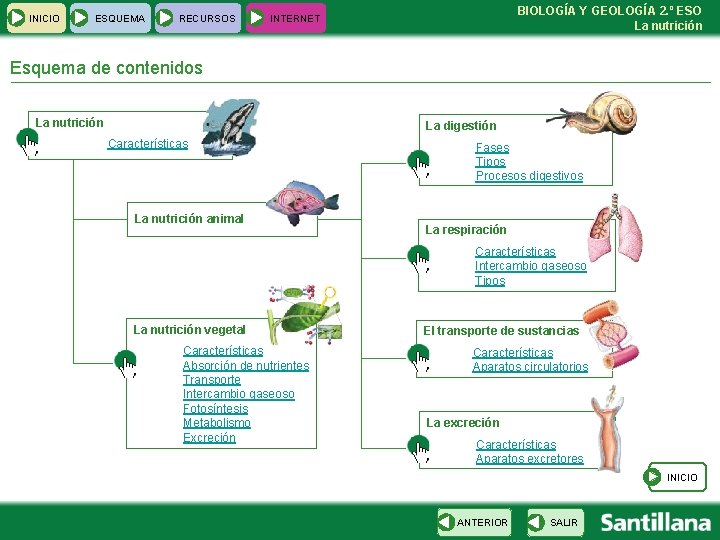 INICIO ESQUEMA RECURSOS BIOLOGÍA Y GEOLOGÍA 2. º ESO La nutrición INTERNET Esquema de