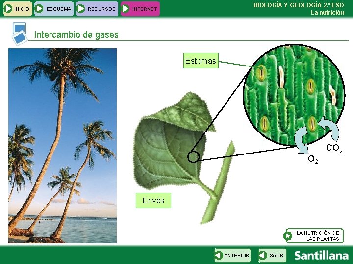 INICIO ESQUEMA RECURSOS BIOLOGÍA Y GEOLOGÍA 2. º ESO La nutrición INTERNET Intercambio de