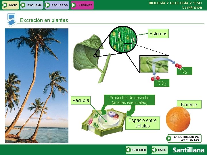 INICIO ESQUEMA RECURSOS BIOLOGÍA Y GEOLOGÍA 2. º ESO La nutrición INTERNET Excreción en