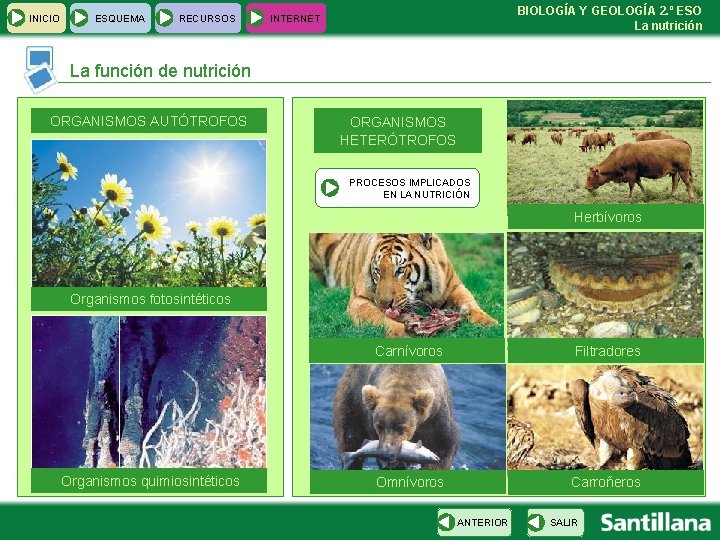 INICIO ESQUEMA RECURSOS BIOLOGÍA Y GEOLOGÍA 2. º ESO La nutrición INTERNET La función